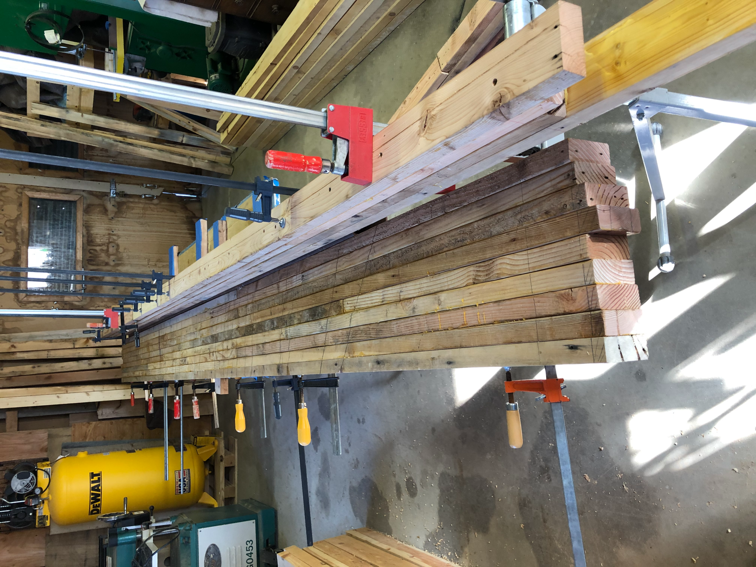 Full lamination underway — clamp forest spanning the width, every clamp in the shop deployed