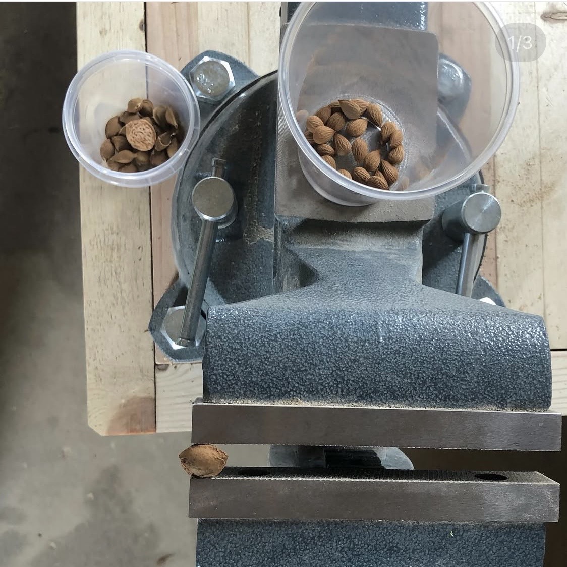 Vises being positioned on the slab — cast iron against fresh-planed timber